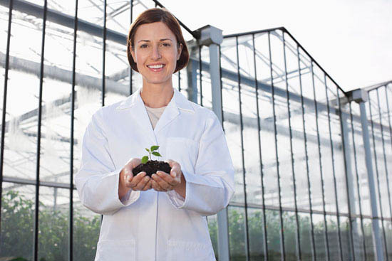 玻璃智能溫室、陽光板智能溫室