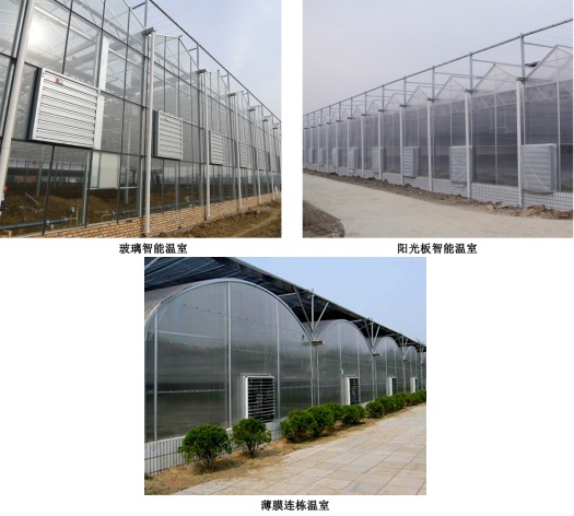 玻璃智能溫室、陽光板智能溫室、薄膜連棟溫室