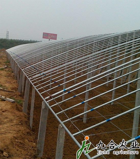 下挖式日光溫室大棚的建設(shè)標準